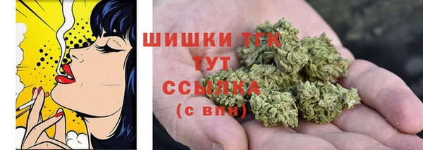 стаф Волосово